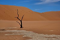 Bernhard Saalfeld - Death Valley